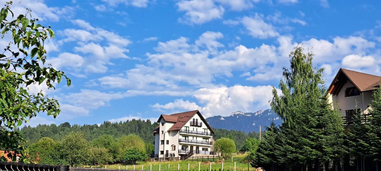 Casa De Vacanta Homestay